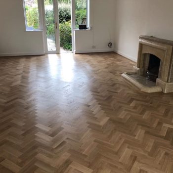 57325305 2248612322030274 6378784397503496192 n