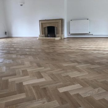 57486034 2248612328696940 9014836333658505216 n